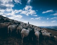 «Жива ватра»: Україна поза війною