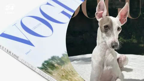 Сер Спад: левретка, яка підкорила Vogue своєю позою